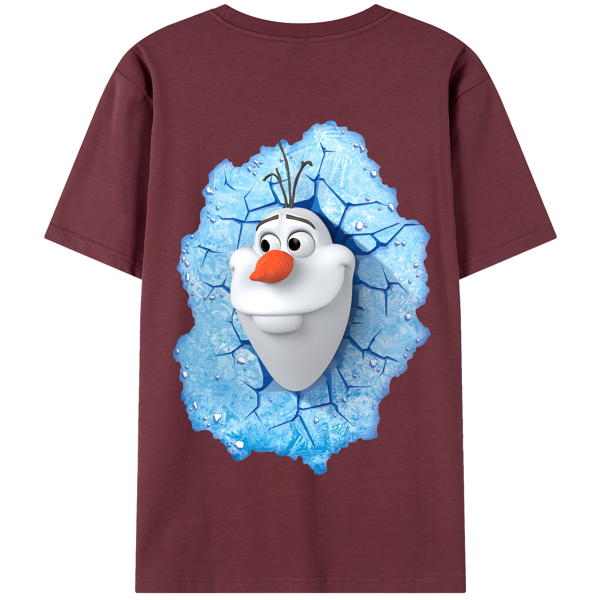 （画像用） アナと雪の女王 アンナ エルサ Frozen Anna Elsa 綿100％半袖Tシャツ（背面プリント）